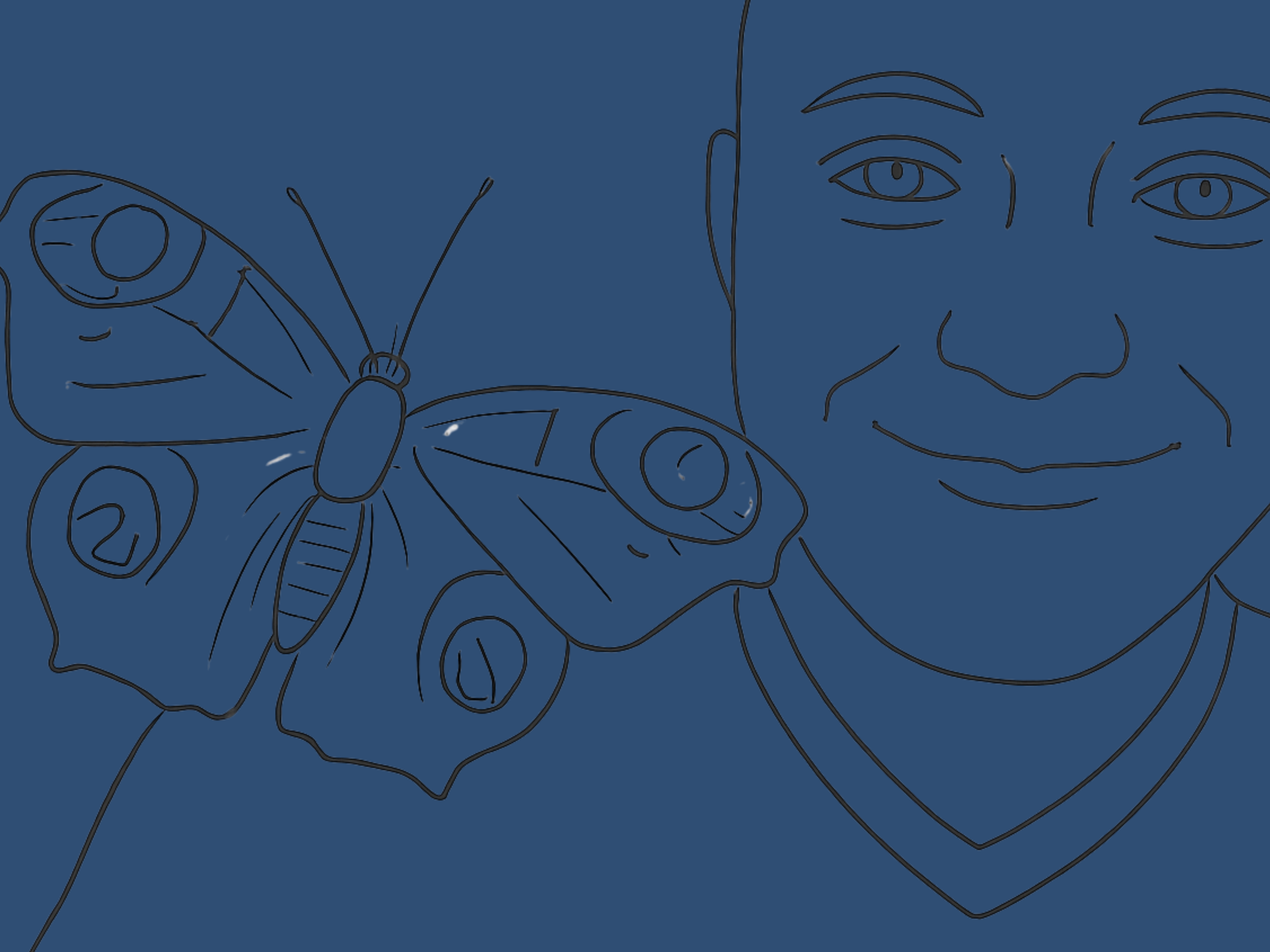 banner-hero-martin-pauwoogvlinder